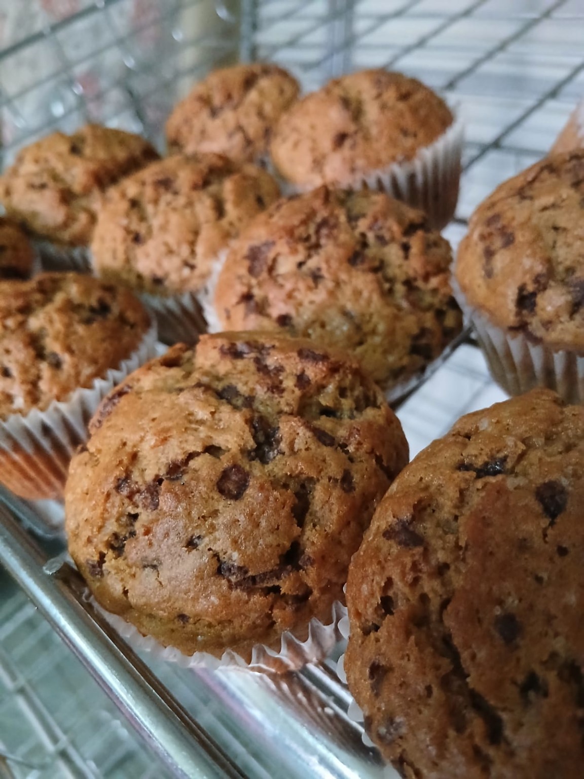 Freshly baked chocolate chip muffins