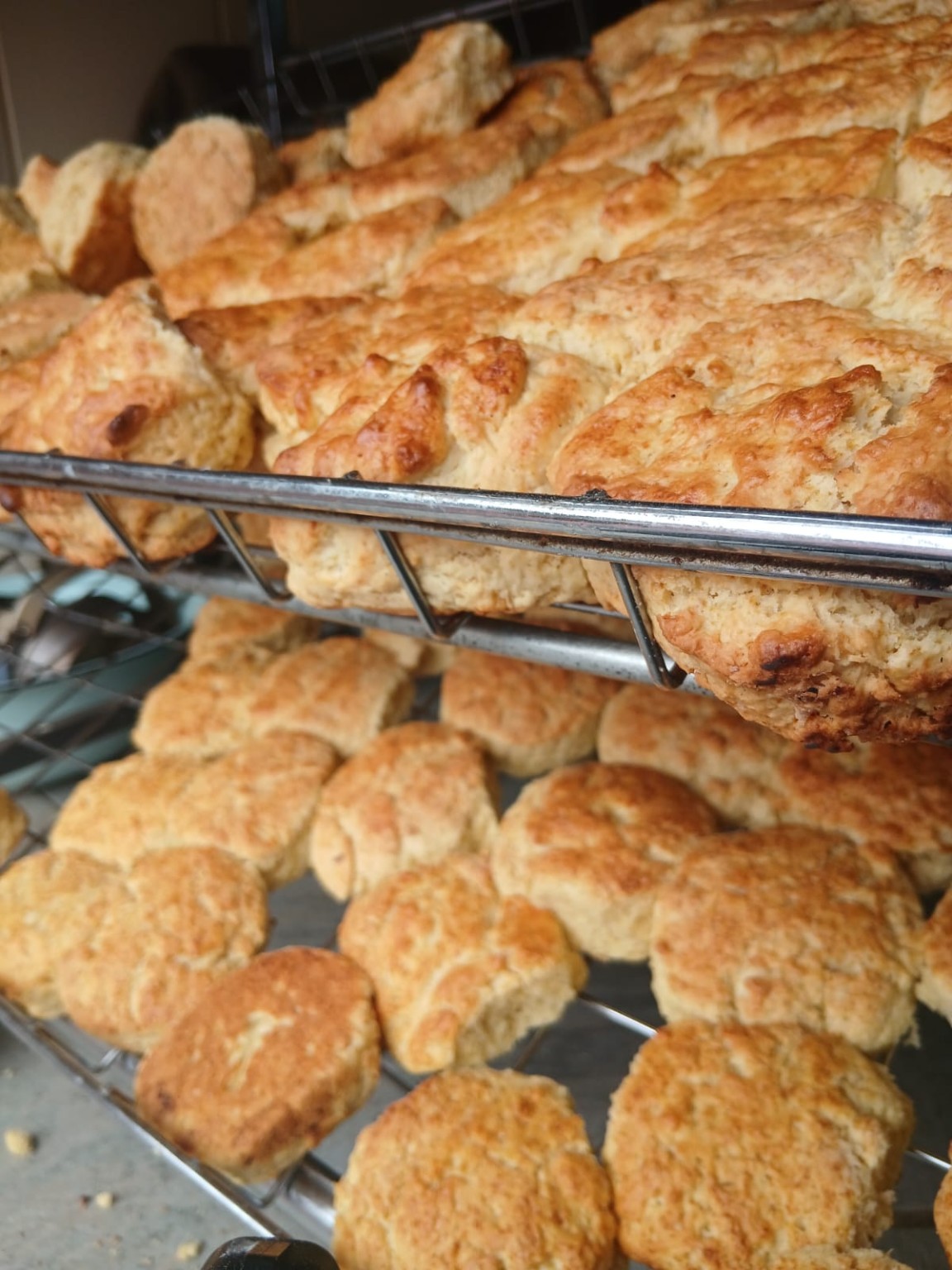 Fresh golden signature scones cooling on bakery racks